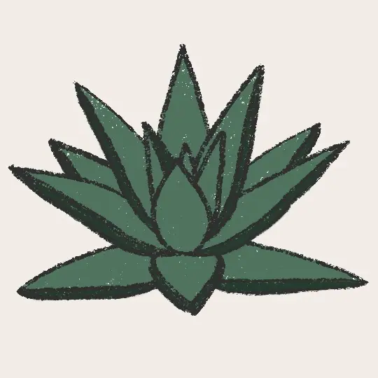 Frau mit Aloe Vera Gel